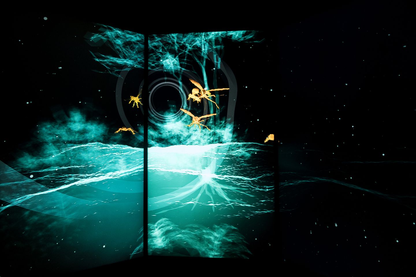 Bat Cave › Jeremias Volker